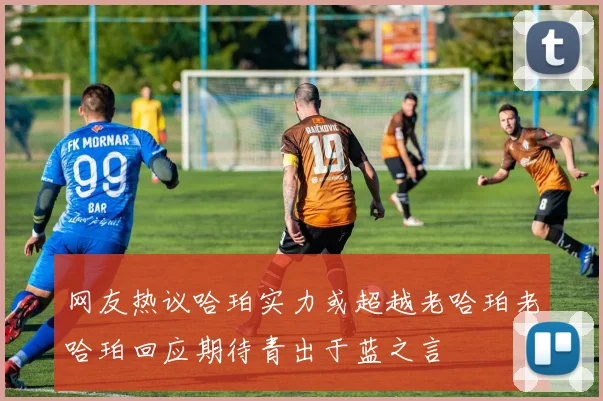 网友热议哈珀实力或超越老哈珀老哈珀回应期待青出于蓝之言
